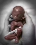 不得不信：堕胎后常见的10个现世果报